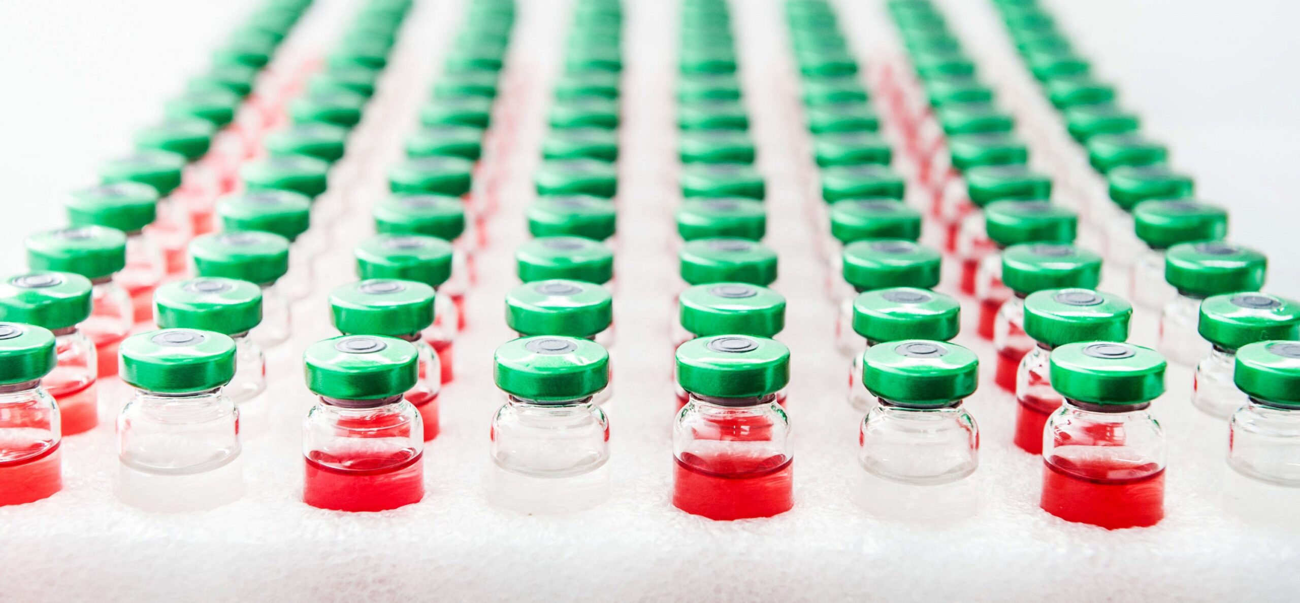 christaelyce biotechnology 014 e1474908996315
