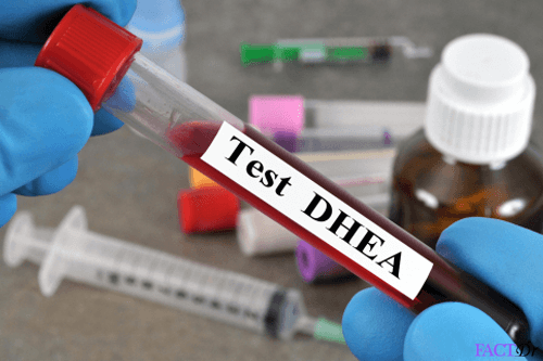 dhea sulphate dheas