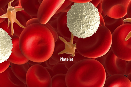 low platelets causes
